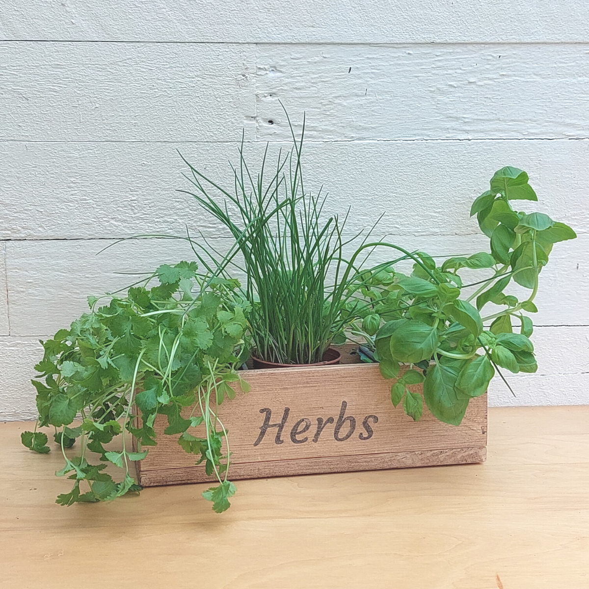 Indoor Herb Box