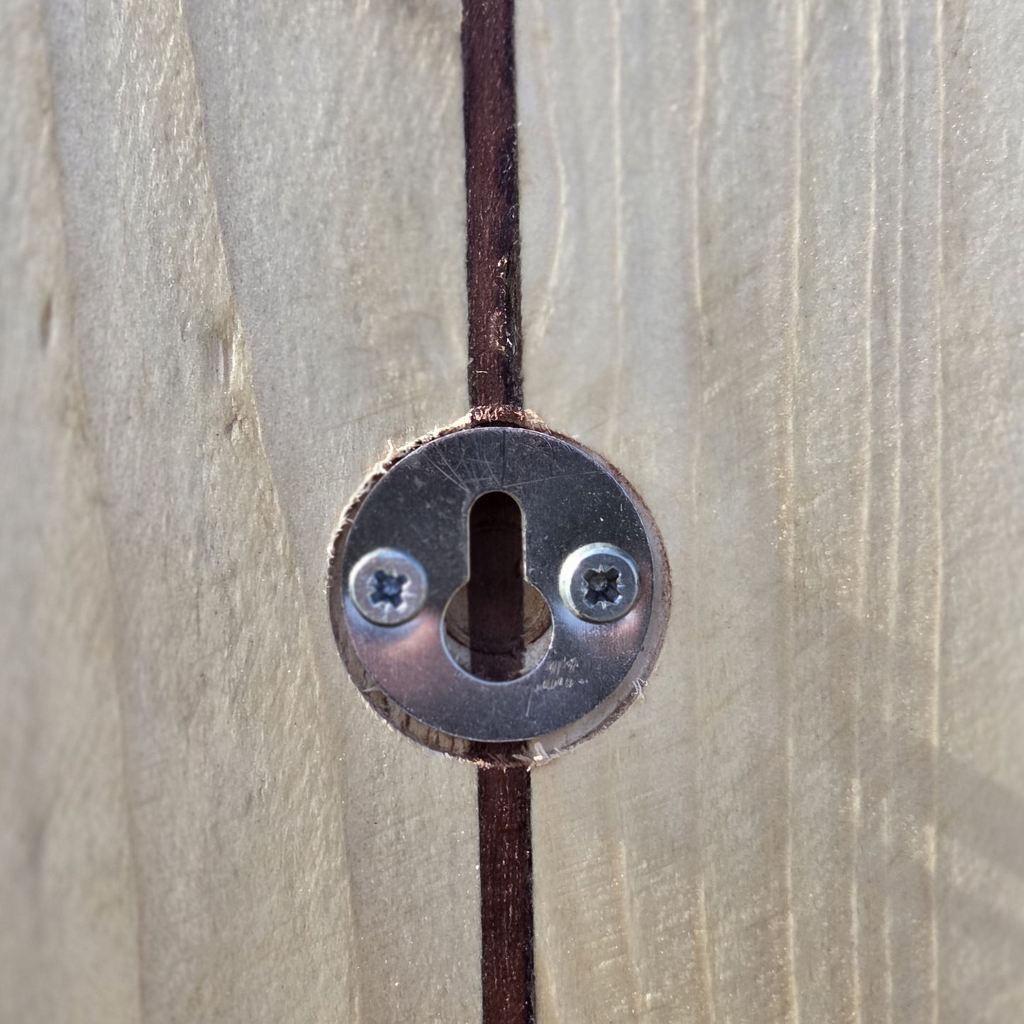 Wooden Surfboard Wall Art